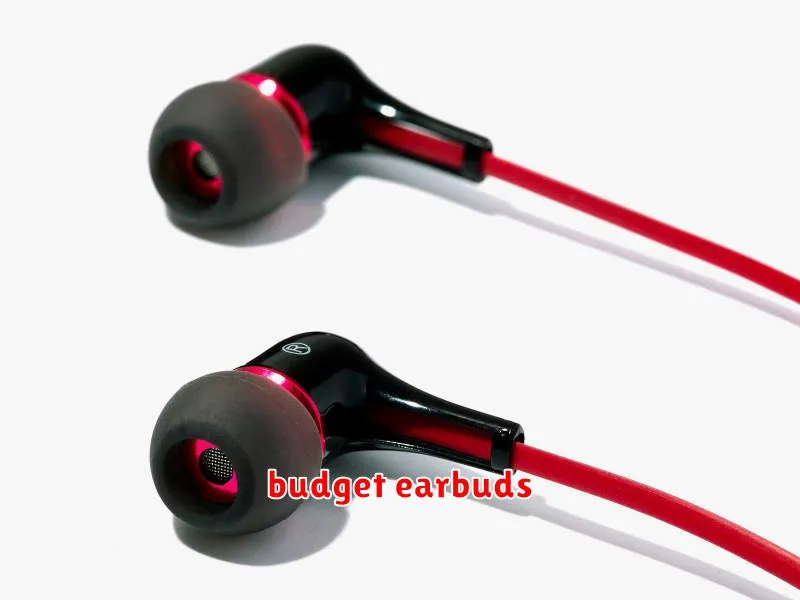 budget earbuds