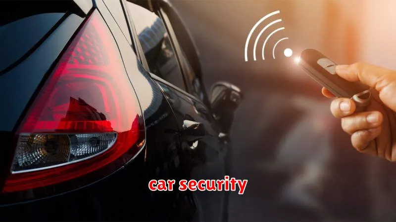 car security