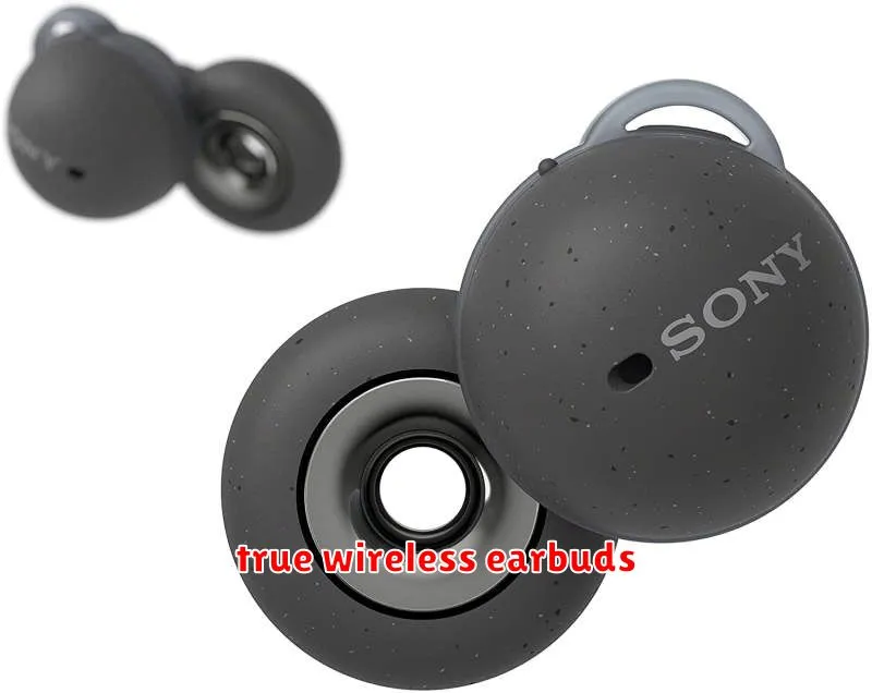 true wireless earbuds